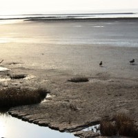 Gasthof Grosser Krug - Umgebung