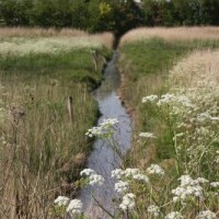 Gasthof Grosser Krug - Umgebung