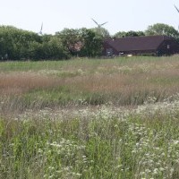 Gasthof Grosser Krug - Umgebung