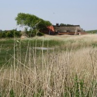 Gasthof Grosser Krug - Umgebung