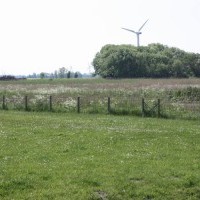 Gasthof Grosser Krug - Umgebung