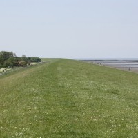 Gasthof Grosser Krug - Umgebung