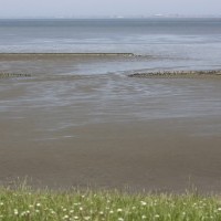 Gasthof Grosser Krug - Umgebung