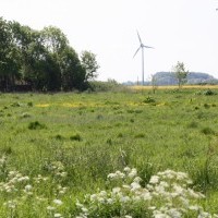 Gasthof Grosser Krug - Umgebung