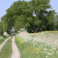 Gasthof Grosser Krug - Umgebung