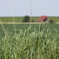 Gasthof Grosser Krug - Umgebung