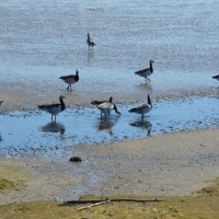 Gasthof Grosser Krug - Umgebung