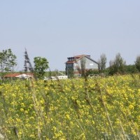 Gasthof Grosser Krug - Aussenaufnahmen