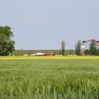 Gasthof Grosser Krug - Aussenaufnahmen